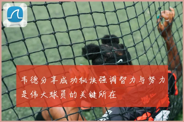 韦德分享成功秘诀强调智力与努力是伟大球员的关键所在